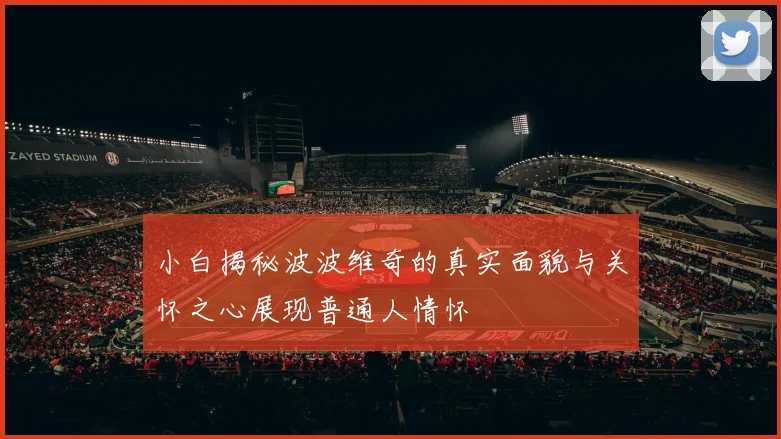 小白揭秘波波维奇的真实面貌与关怀之心展现普通人情怀