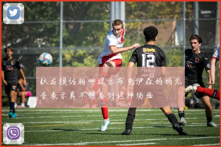 狄龙模仿狗叫逗乐布克伊森妈妈无奈表示真不想看到这种场面