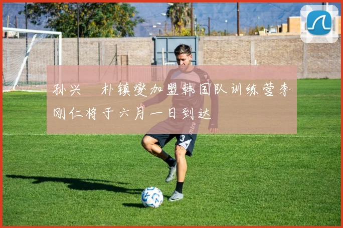 孙兴慜朴镇燮加盟韩国队训练营李刚仁将于六月一日到达